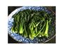 上汤菠菜的做法图解4