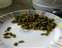 酸豆角肉包的做法图解2