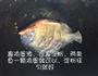 铁锅炖淡水白鲳鱼的做法图解5
