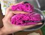 玫瑰花卷-火龙果版的做法图解7