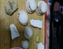 杏鲍菇香盒的做法图解3