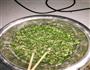 韭菜包子的做法图解4