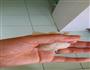 糯米烧麦的做法图解9