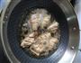 无酱油版的做法图解4