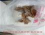 酥炸带鱼片的做法图解4