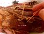 麻辣牛肉片的做法图解5