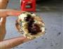 红豆酥的做法图解4