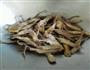 自制美味鸭舌的做法图解2