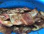 粉蒸肉生菜包的做法图解3