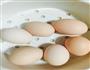 溏心蛋的做法图解1