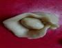 蛋黄酥的做法图解4