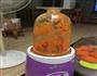宠物狗零食的做法图解2