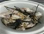 闽南特色养胃健脾过饥草排骨汤的做法图解1