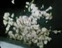 肉末茄子的做法图解4