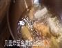 炸鲜奶的做法图解14
