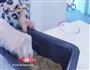 兔西焙蜜语的做法图解7