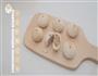 小龙虾酥皮月饼的做法图解26