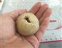 广式豆沙水果干月饼的做法图解9