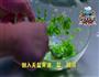 法式焗烤蜗牛的做法图解3
