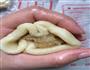 苏式榨菜鲜肉月饼春天的做法图解18