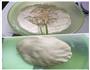 绿豆酥饼的做法图解3