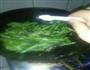 素炒豆角丝挑战家常菜的做法图解6