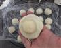 网红小龙虾月饼的做法图解11