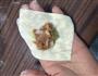猪肉大葱馅馄饨的做法图解4
