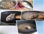 秋季眉豆芡实鲫鱼汤的做法图解1