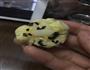变种玛格丽特饼干的做法图解5