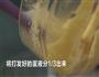 精灵球翻糖蛋糕的做法图解5