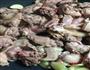 啤酒红烧鸭子肉的做法图解5