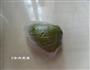 玛格丽特抹茶饼干的做法图解8