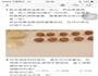 蛋黄酥的做法图解11