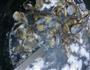 辣炒花蛤的做法图解2