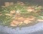 青椒炒肉的做法图解3