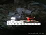 干锅兔肉的做法图解1