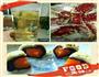 可爱蛋黄酥的做法图解13