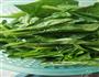 蒜末菠菜的做法图解2