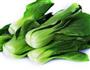 香菇油菜的做法图解2