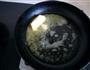 双色绿豆糕的做法图解4