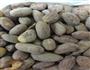 伍仁月饼的做法图解3