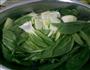 青菜豆腐汤的做法图解2