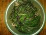 节后美食-苏子叶拌咸菜的做法图解3