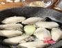 可乐鸡翅的做法图解4