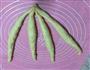 辫子蜜豆面包的做法图解11