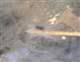 红枣枸杞炖燕窝的做法图解4