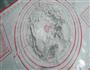 黑米蒸饺太阳花的做法图解4