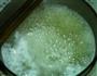 白糖浆的做法步骤3