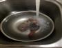 牛肉粉丝汤的做法图解6